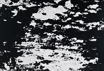 Marea Oscura